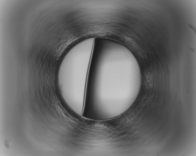 X0000101120596200806261047