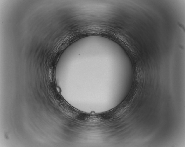 X0000101120597200806261047