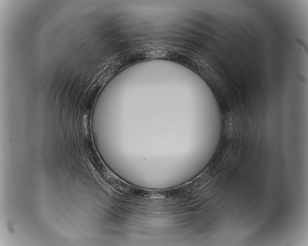 X0000101120598200806261047