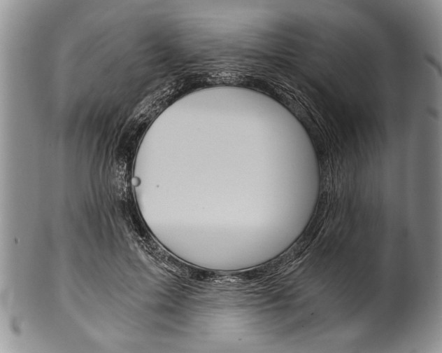 X0000101120599200806261047
