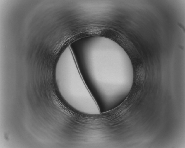 X0000101120600200806261047