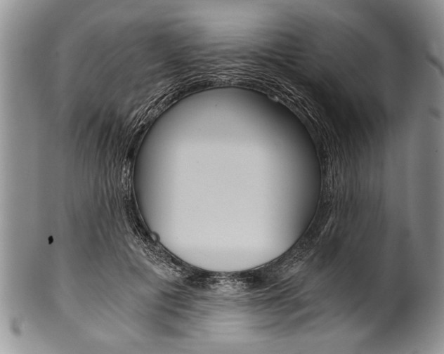 X0000101120601200806261047