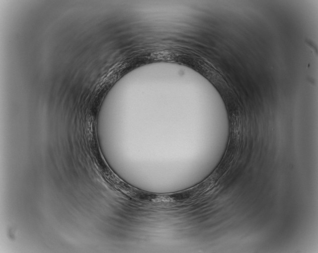 X0000101120603200806261047