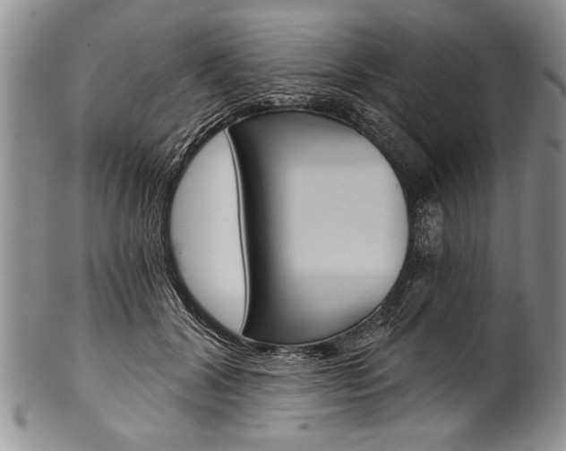 X0000101120604200806261047