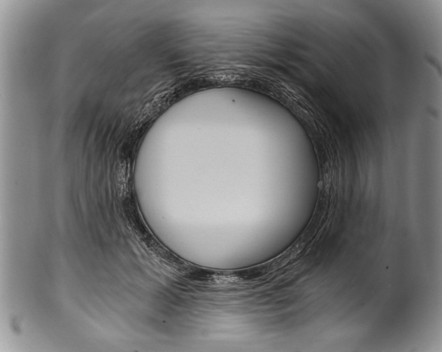 X0000101120605200806261047