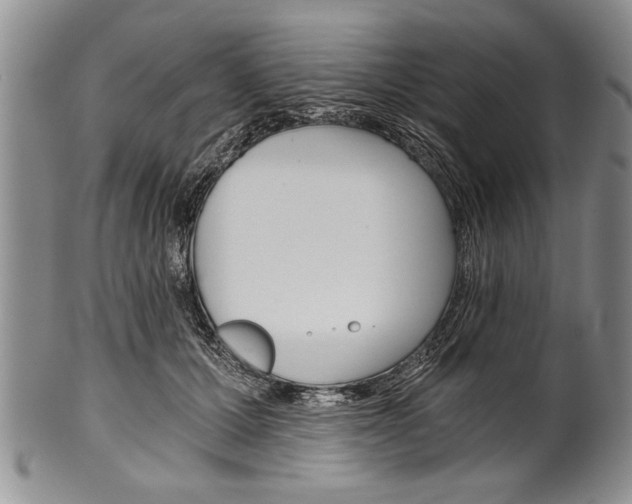 X0000101120607200806261047