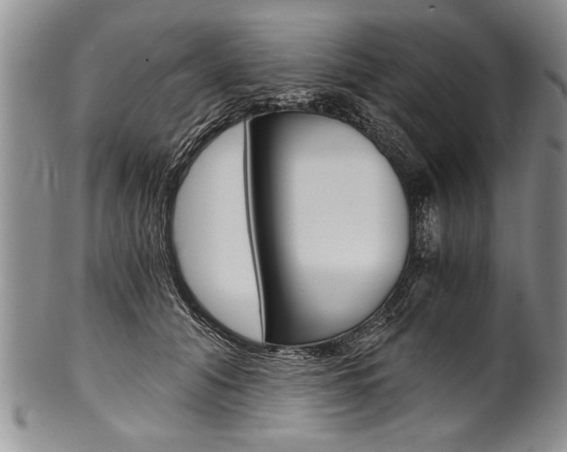 X0000101120608200806261047