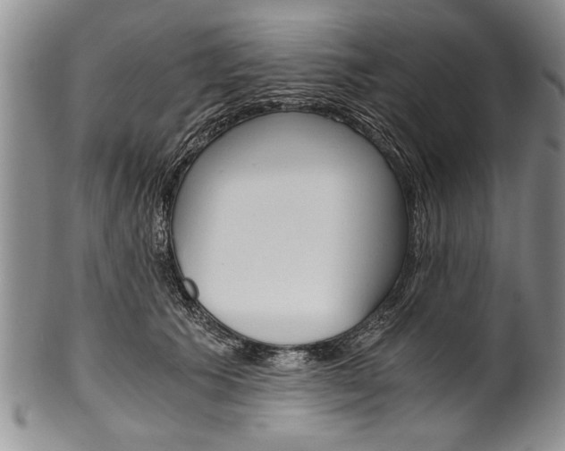 X0000101120609200806261047
