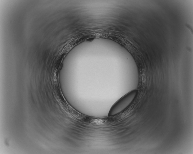 X0000101120611200806261047