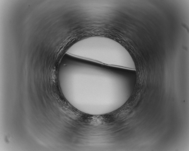 X0000101120612200806261047