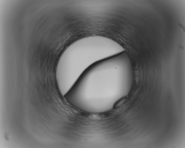 X0000101120613200806261047