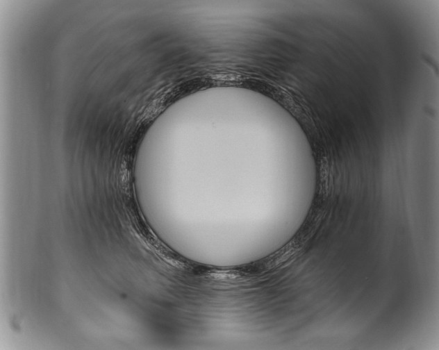 X0000101120614200806261047