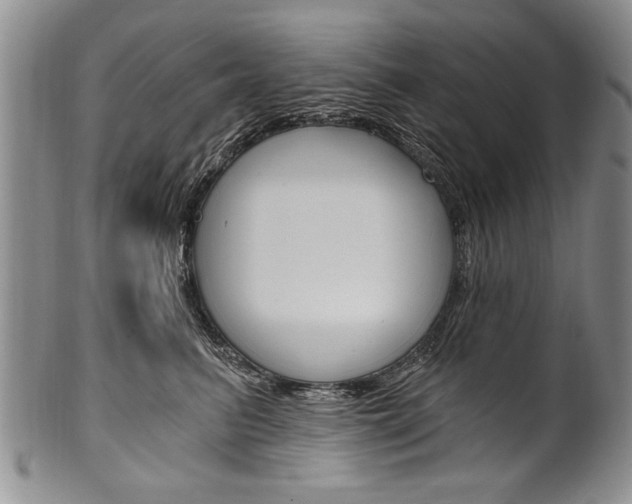 X0000101120615200806261047