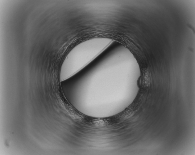 X0000101120616200806261047
