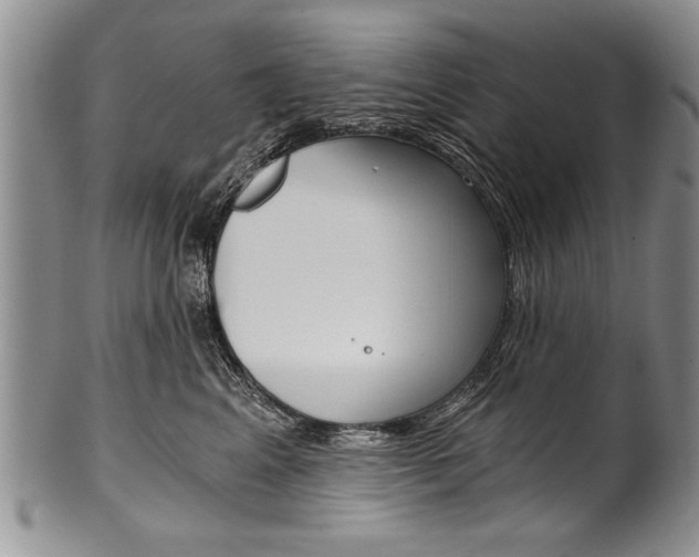 X0000101120617200806261047