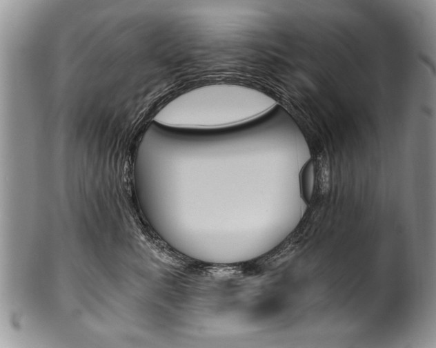 X0000101120619200806261047