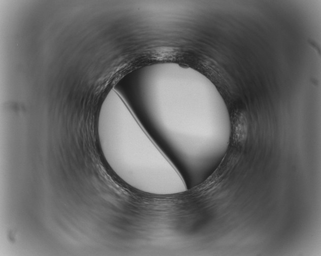 X0000101120620200806261047