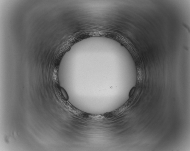 X0000101120621200806261047