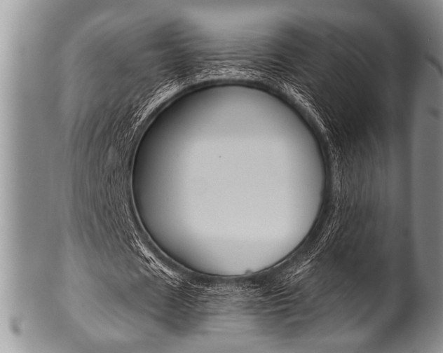 X0000101120625200806261046