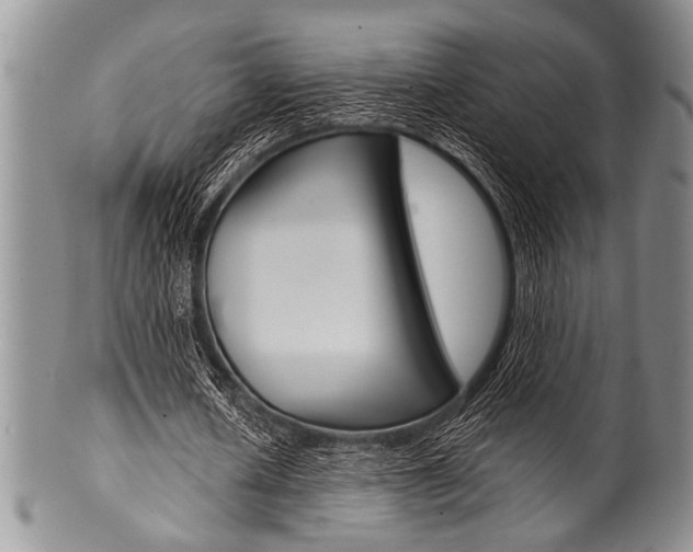 X0000101120626200806261046