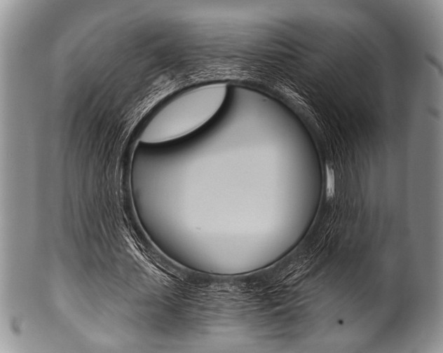 X0000101120627200806261046