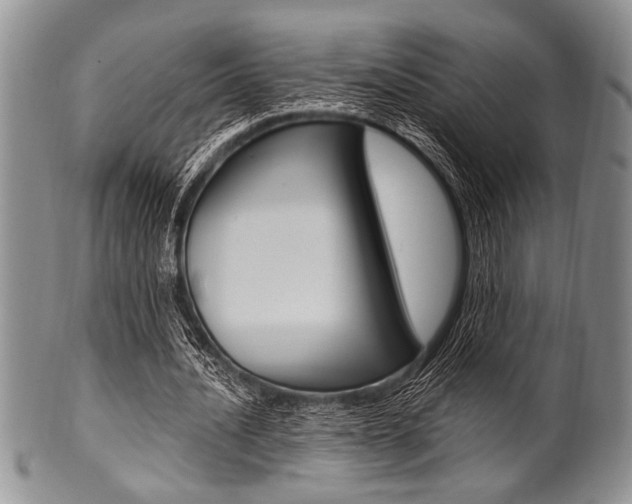 X0000101120628200806261046