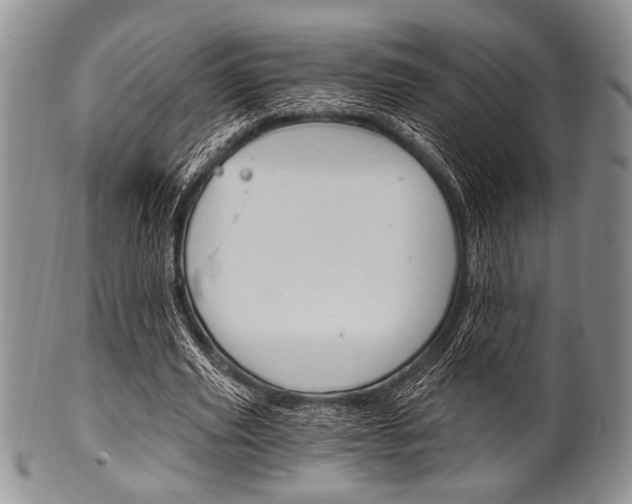 X0000101120629200806261046