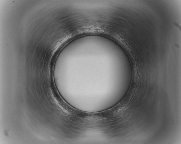 X0000101120630200806261046