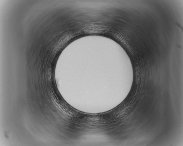 X0000101120631200806261046