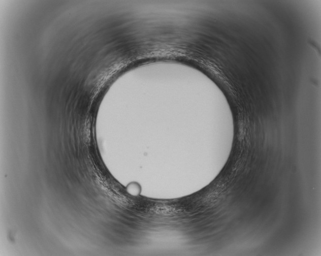 X0000101120632200806261046