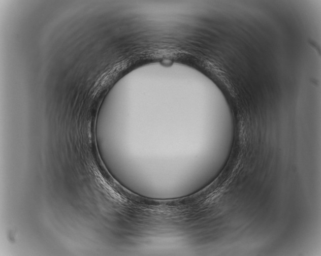 X0000101120633200806261046