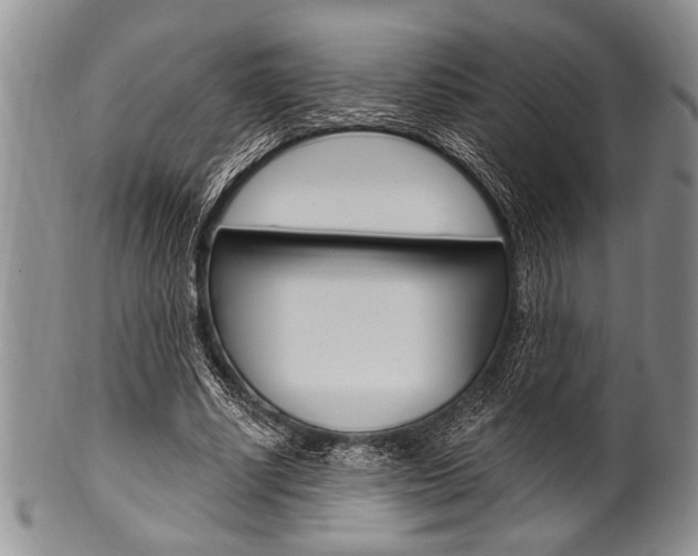 X0000101120634200806261046