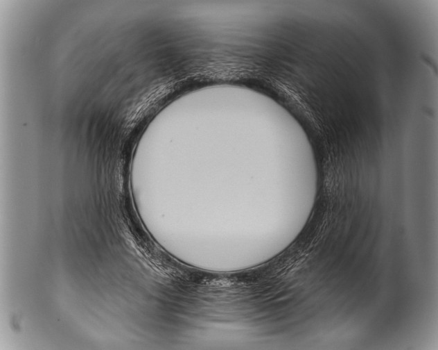 X0000101120635200806261046
