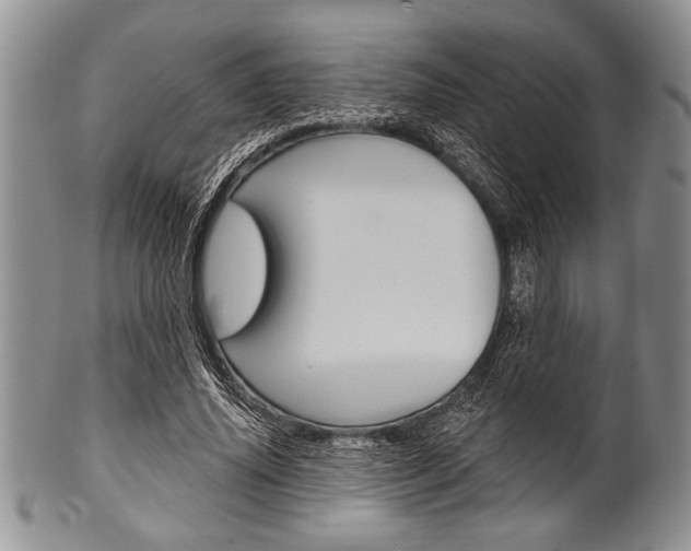 X0000101120636200806261046