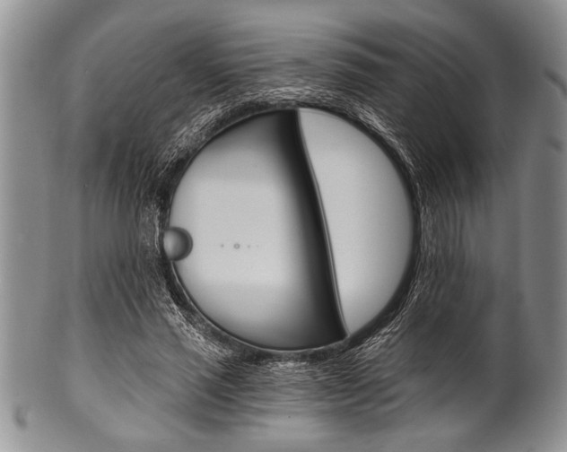 X0000101120637200806261046