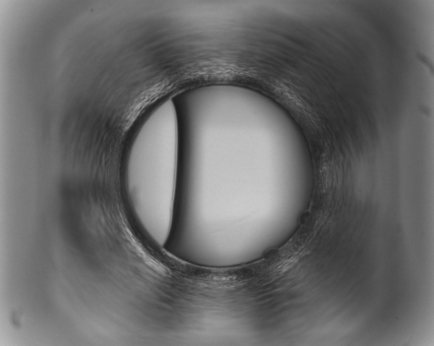 X0000101120638200806261046