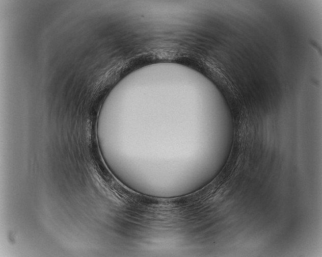 X0000101120639200806261046