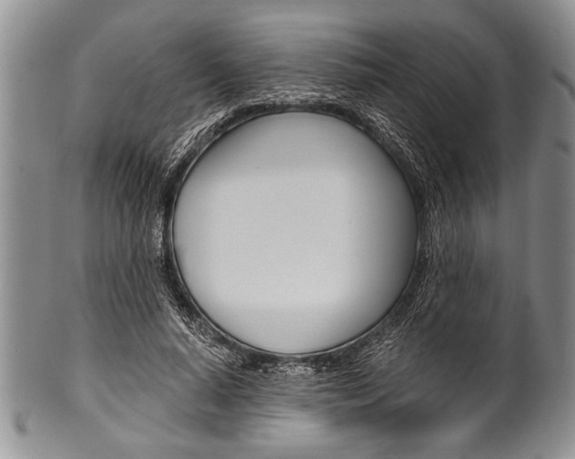X0000101120640200806261046