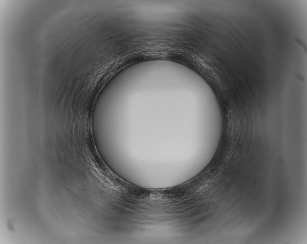 X0000101120641200806261046