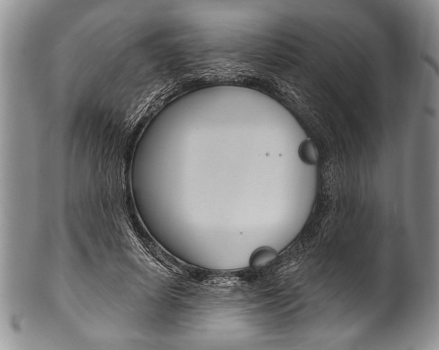 X0000101120642200806261046