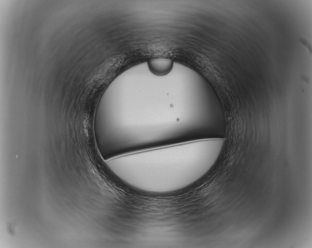 X0000101120643200806261046