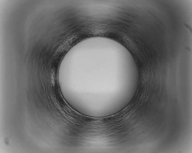 X0000101120644200806261046