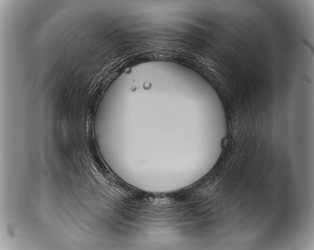 X0000101120645200806261046