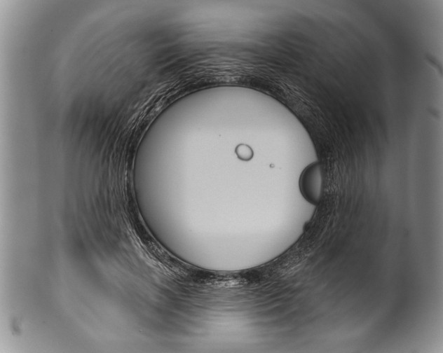 X0000101120646200806261046