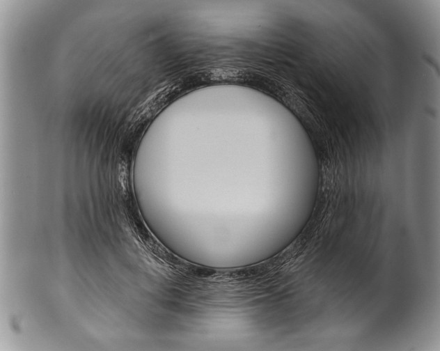 X0000101120648200806261046
