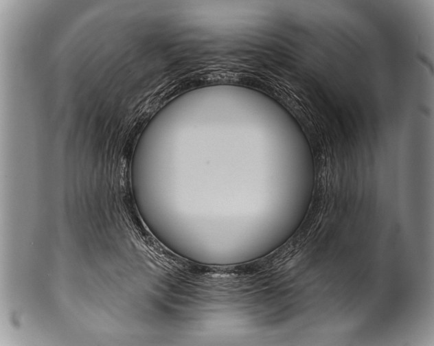 X0000101120649200806261046