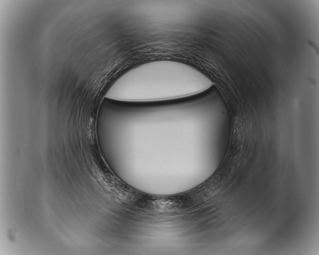 X0000101120650200806261046