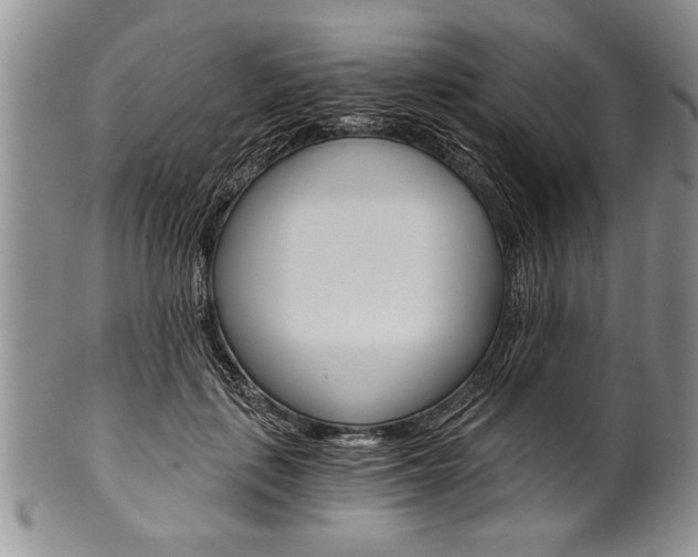 X0000101120651200806261046