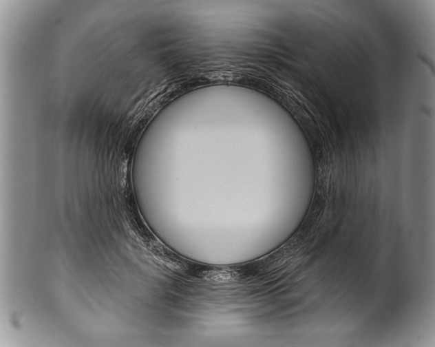 X0000101120652200806261046