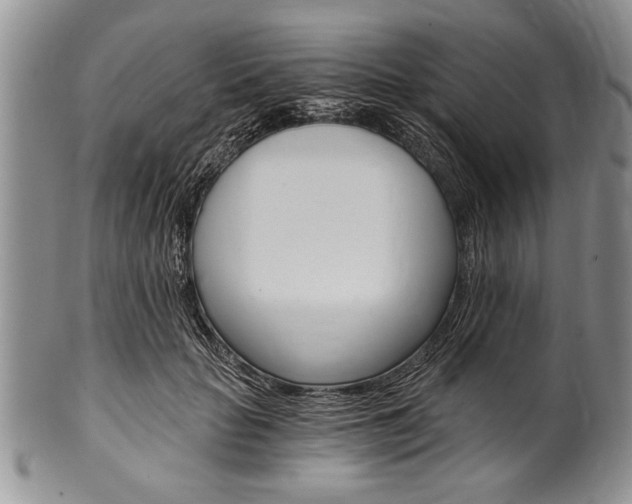 X0000101120653200806261046